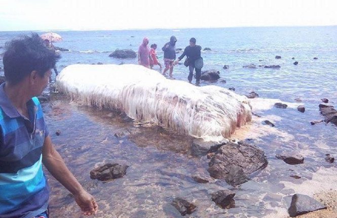 Người dân địa phương đến gần xác con vật lạ mà họ không biết là con gì - Ảnh: RT/FB