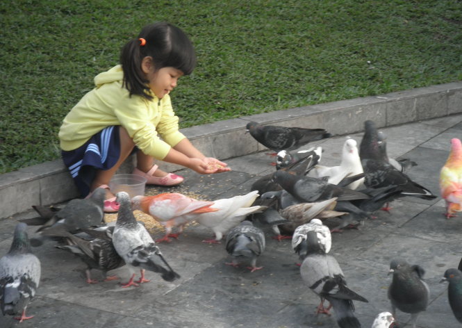 “Khung cảnh thanh bình” - tác giả Phạm Thị Thanh Tâm (học sinh Trường THCS Võ Trường Toản, Q.1, TP.HCM)