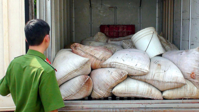 Xe tải chở gần 700kg nội tạng gà thối vừa bị cơ quan chức năng bắt quả tang - Ảnh: A Lộc