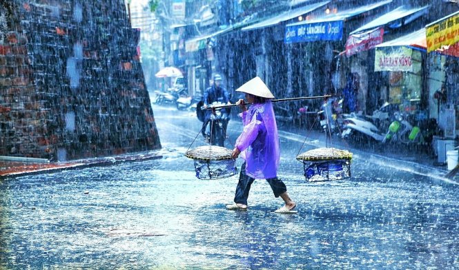 Bức ảnh mang tên Tần tảo của tác giả Vũ Huy