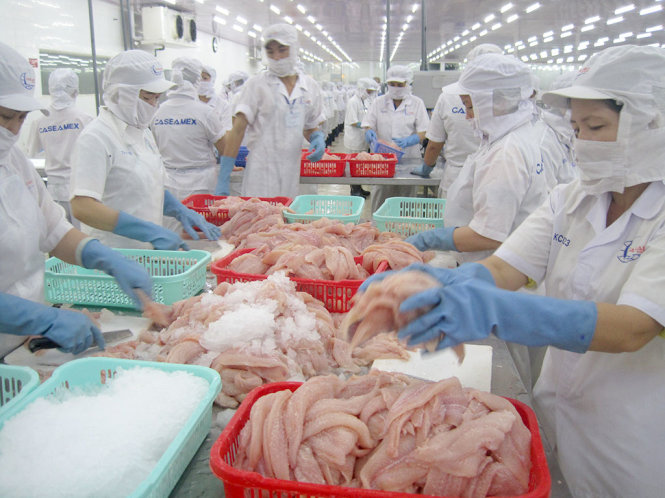 Các DN xuất khẩu thực phẩm đang đứng trước thách thức không nhỏ để xuất được hàng sang Mỹ. Trong ảnh: tại một cơ sở chế biến cá tra - Ảnh: T.GIANG