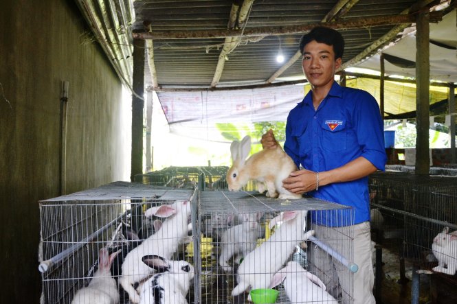 Trang trại thỏ của Vũ là một trong những mô hình khởi nghiệp ở xã Phổ Thạnh - Ảnh: TRẦN MAI