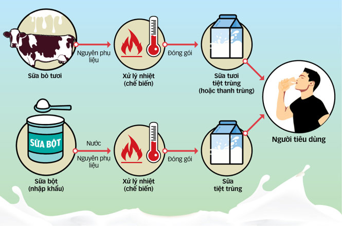 Quy trình tạo sản phẩm sữa tươi, sữa tiệt trùng - Đồ họa: TẤN ĐẠT
