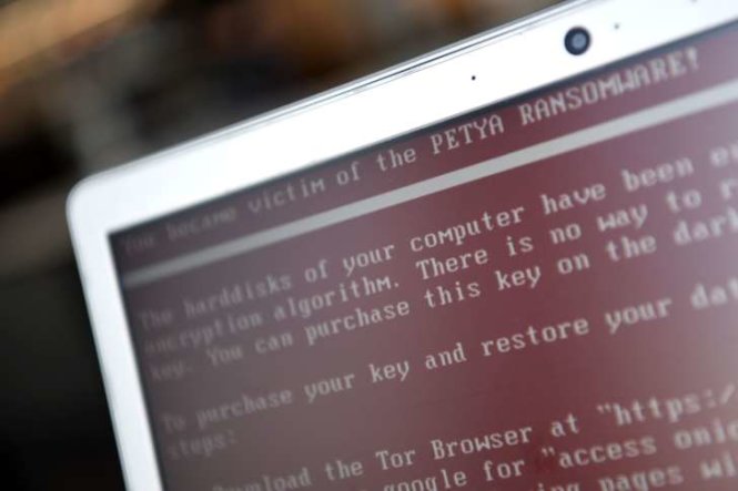 Mã độc Petya tấn công một hệ thống máy tính - Ảnh: TASS