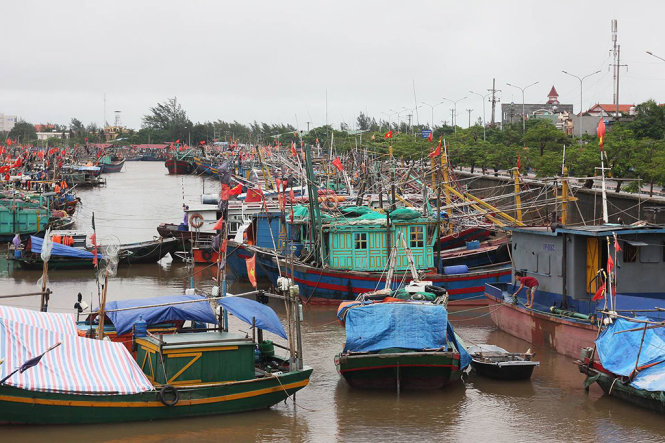 Tàu thuyền neo đậu an toàn tại khu vực quận Đồ Sơn, TP Hải Phòng - Ảnh: TIẾN THẮNG