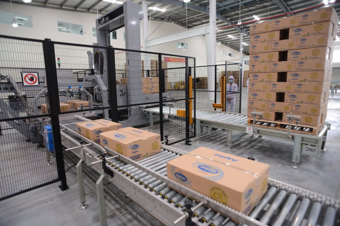 Sắp tới, Nhà nước sẽ thoái vốn, giảm dần tỉ lệ sở hữu trong một loạt doanh nghiệp lớn trên thị trường, tạo thêm nguồn hàng cho thị trường M&A VN. Trong ảnh: dây chuyền sản xuất sữa bột của Vinamilk tại Bình Dương - Ảnh: T.T.D.