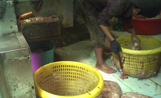 Một nhân công phân loại mỡ trước khi đưa vào chảo - Ảnh: NGỌC KHẢI