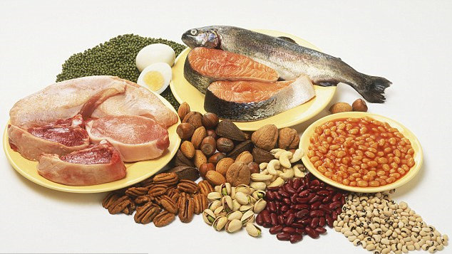 Những nguồn thức ăn cung cấp nhiều đạm