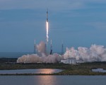 SpaceX phóng tên lửa mang theo… tinh trùng lên ISS