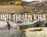 Ninh Thuận khát cháy ngay đầu mùa khô