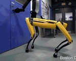 ‘Choáng’ trước hình ảnh robot đi bộ, leo bậc thang thành thạo