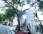 Hà Nội chuẩn bị khai trương phố đi bộ Trịnh Công Sơn