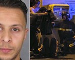 ​Bỉ bắt sống nghi phạm tấn công Paris Salah Abdeslam