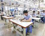 ​Giáo dục hướng nghiệp theo nhu cầu xã hội