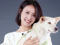 Phim nóng đề tài… trộm chó và sự trở lại của Lý Hùng