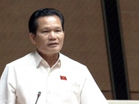 Đại biểu Quốc hội nói gì sau khi kiểm tra lương hưu của cô Lan?