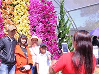 Đà Lạt nắng gắt, du khách đổ về Festival hoa