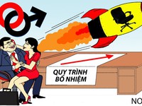 Năm Dậu là năm của quý cô quý bà