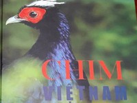 Đề xuất dừng phát hành và chỉnh sửa sách &quot;Chim Việt Nam&quot;