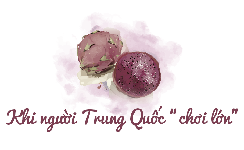 Trung Quốc ồ ạt trồng thanh long cạnh tranh với Việt Nam - Ảnh 1.