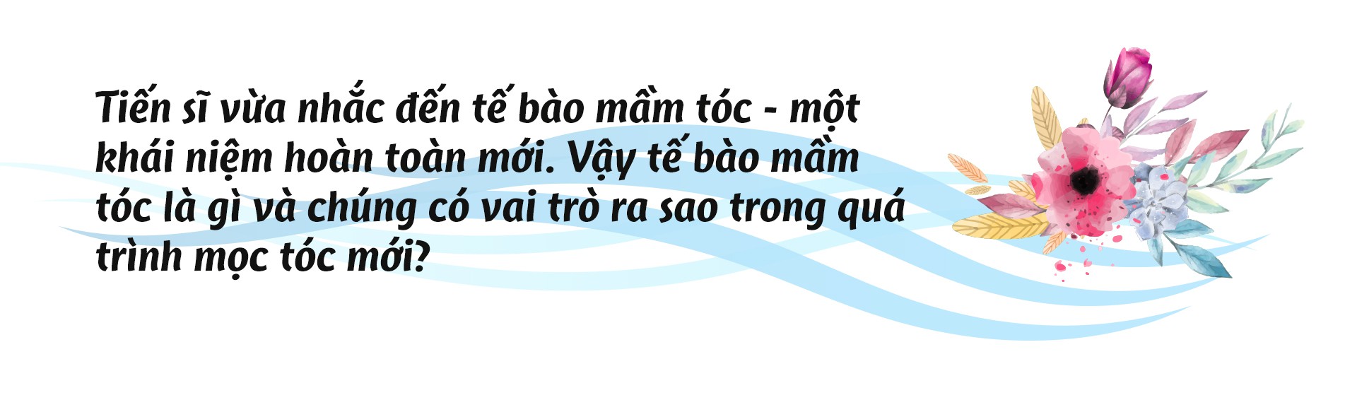 Tế bào mầm tóc - yếu tố quyết định tóc mọc chắc khỏe và dài lâu - Ảnh 4.