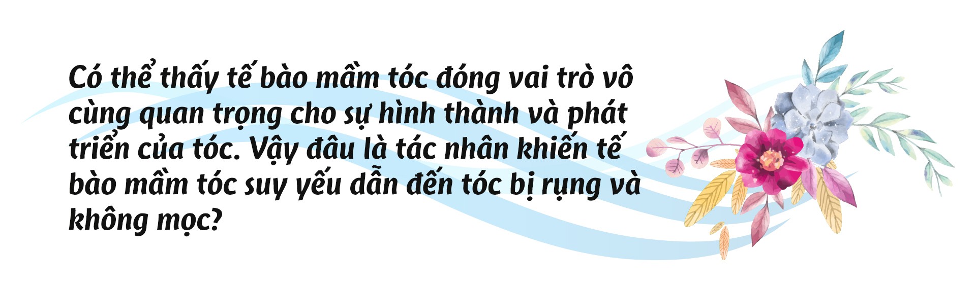 Tế bào mầm tóc - yếu tố quyết định tóc mọc chắc khỏe và dài lâu - Ảnh 6.