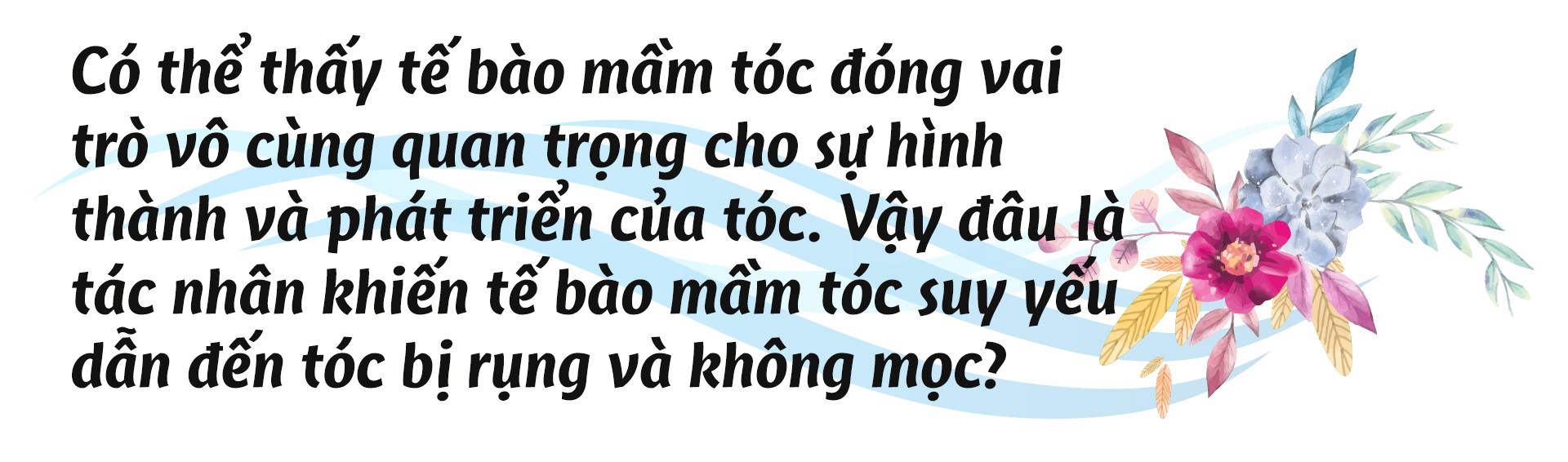 Tế bào mầm tóc - yếu tố quyết định tóc mọc chắc khỏe và dài lâu - Ảnh 6.