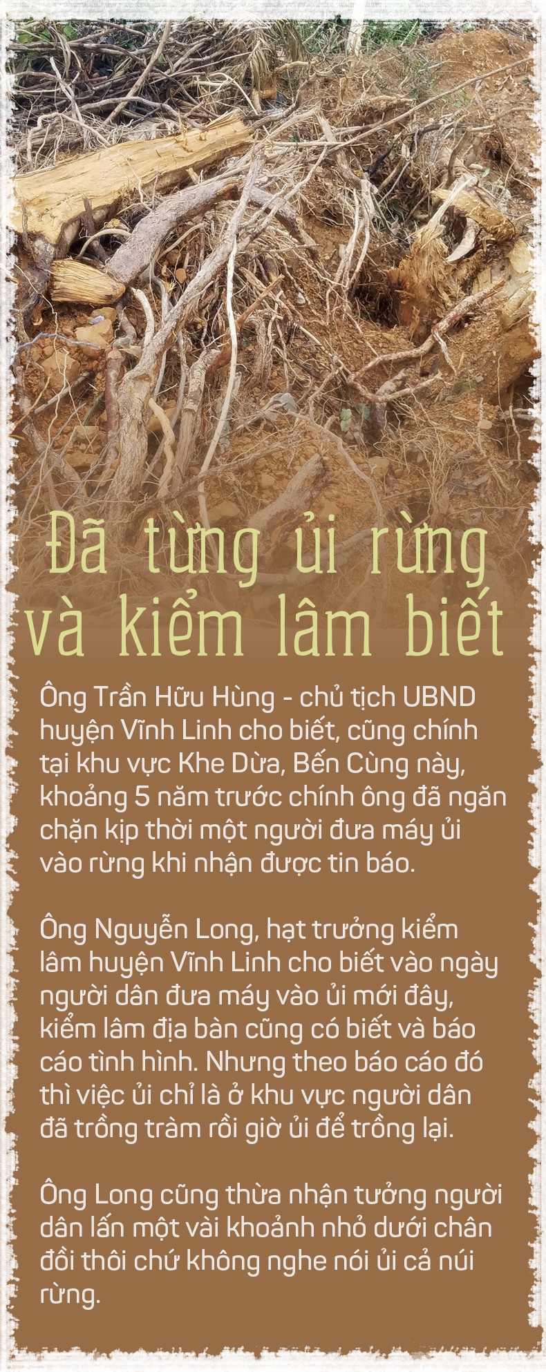 Cạo trọc rừng phòng hộ bằng xe ủi - Ảnh 11.