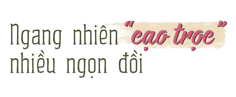 Cạo trọc rừng phòng hộ bằng xe ủi - Ảnh 2.