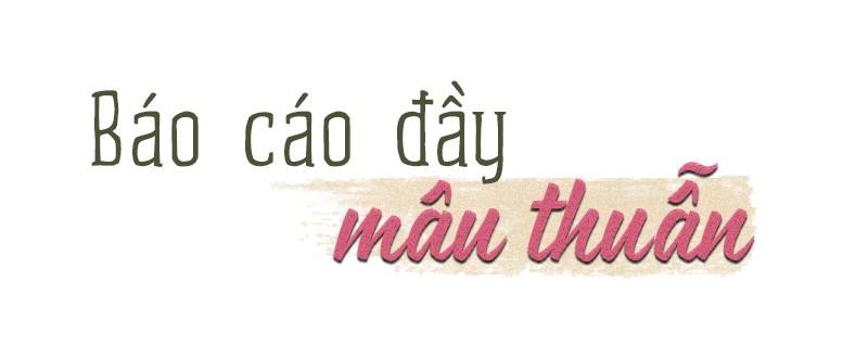 Cạo trọc rừng phòng hộ bằng xe ủi - Ảnh 6.