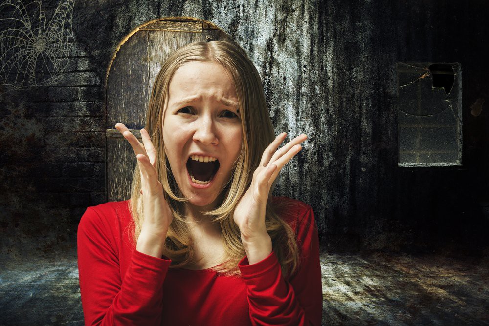 Tái nhợt, chết đứng khi sợ, vì sao? - Ảnh 2. Tái nhợt, chết đứng khi sợ, vì sao? - Ảnh 2.