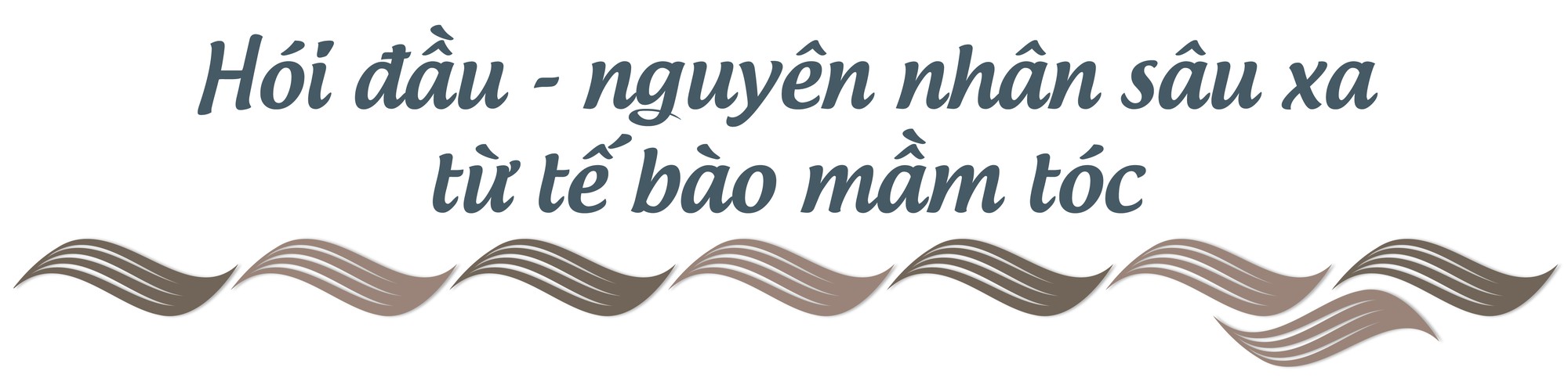 Quý ông hói đầu: cơ hội nào để tóc hồi sinh? - Ảnh 6.