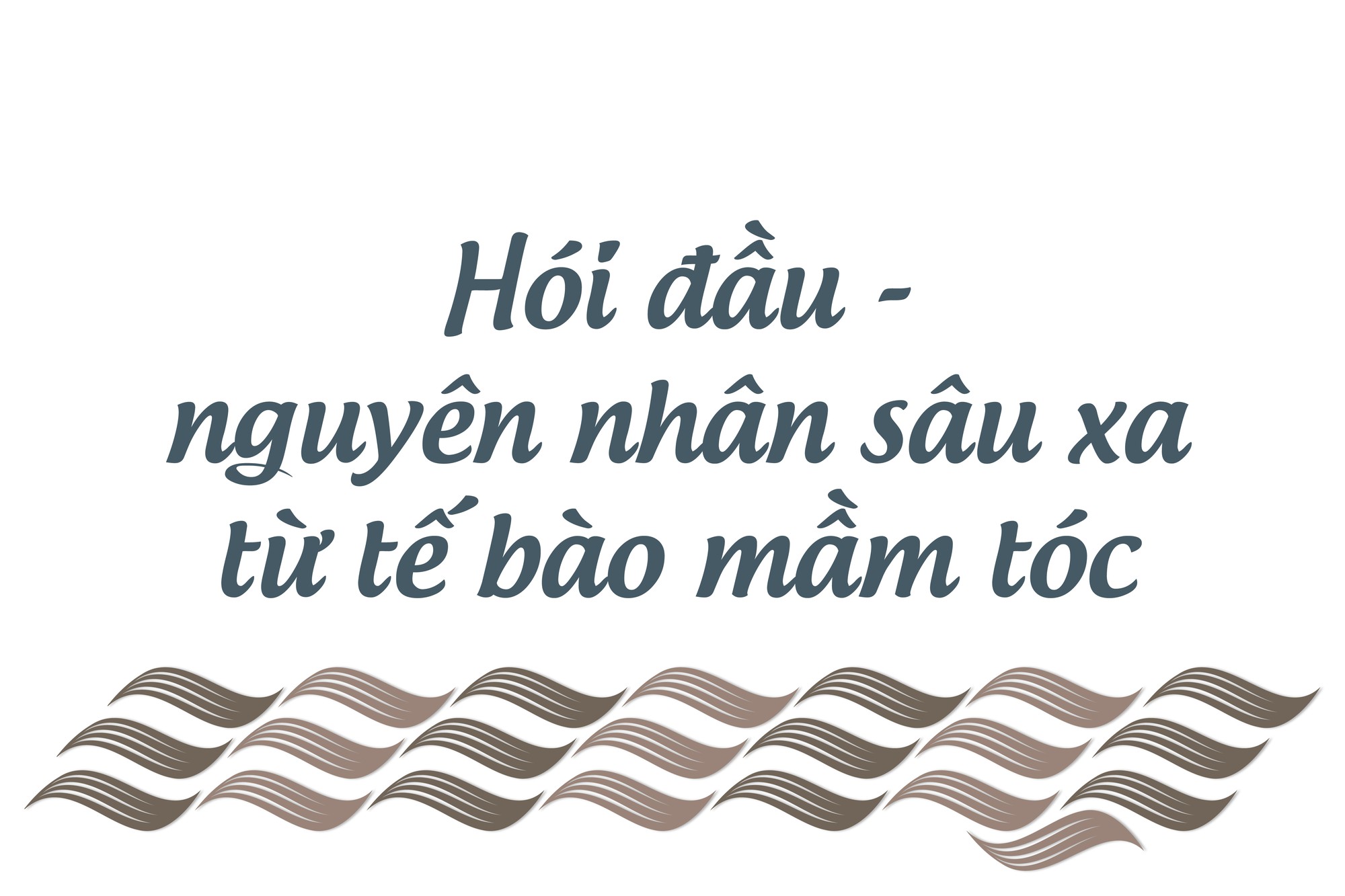 Quý ông hói đầu: cơ hội nào để tóc hồi sinh? - Ảnh 6.