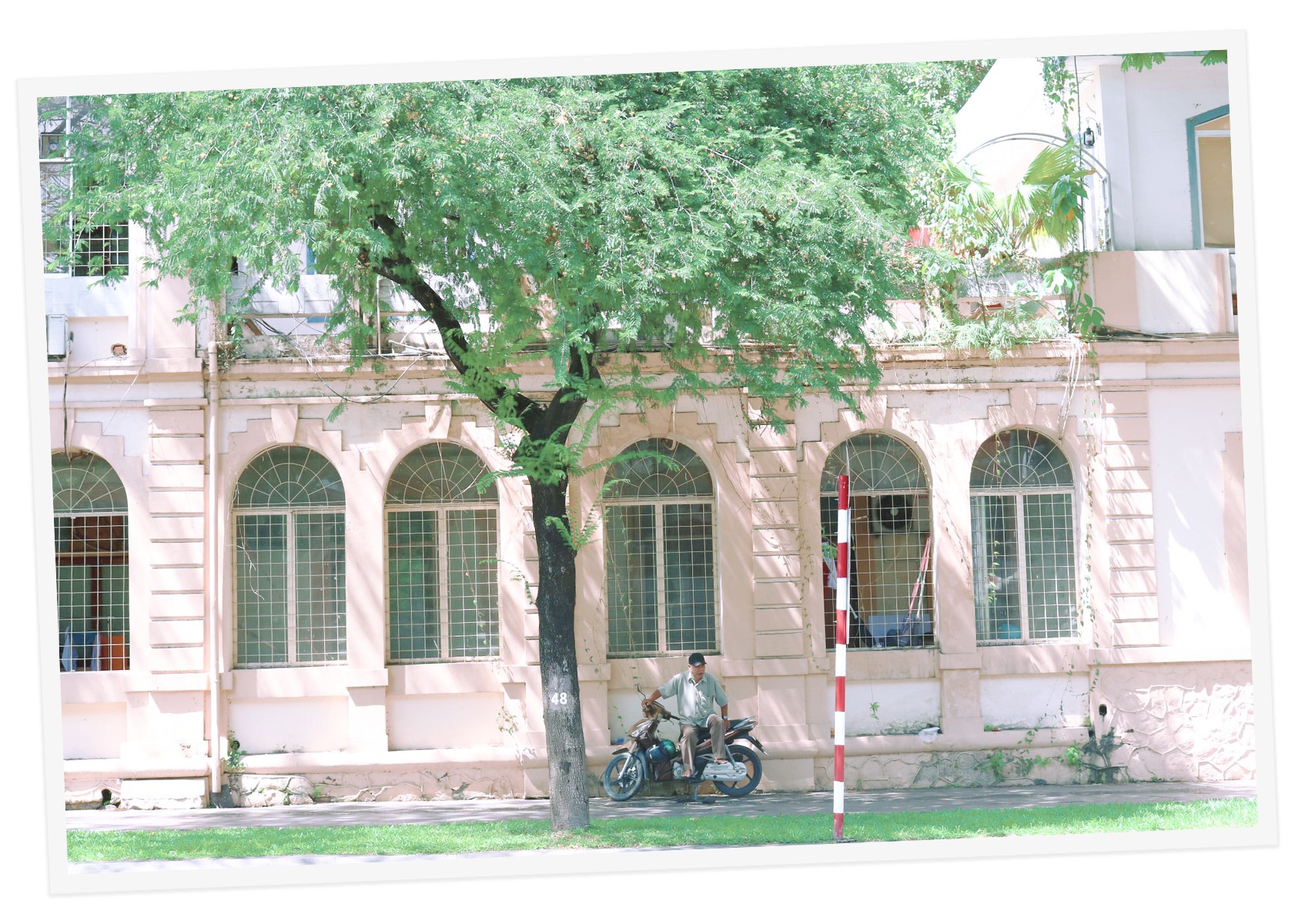 Những hàng me Sài Gòn - Ảnh 3.
