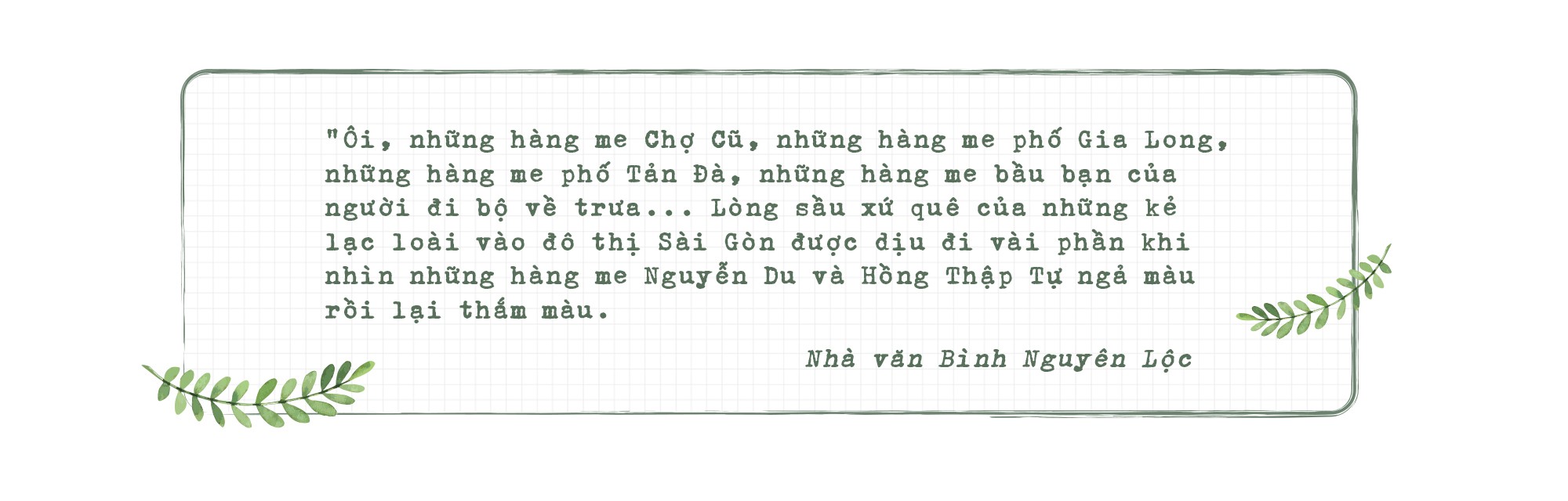 Những hàng me Sài Gòn - Ảnh 9.