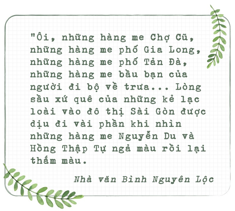 Những hàng me Sài Gòn - Ảnh 9.