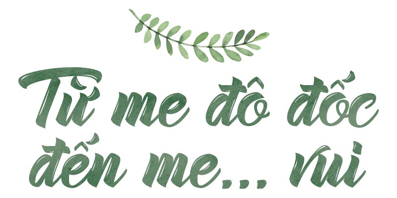 Những hàng me Sài Gòn - Ảnh 1.