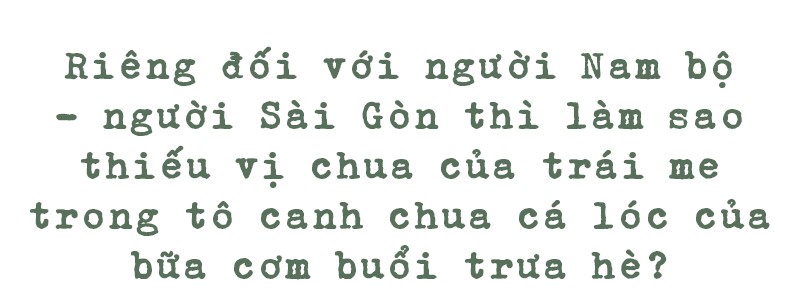 Những hàng me Sài Gòn - Ảnh 4.
