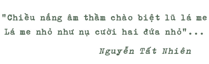 Những hàng me Sài Gòn - Ảnh 8.