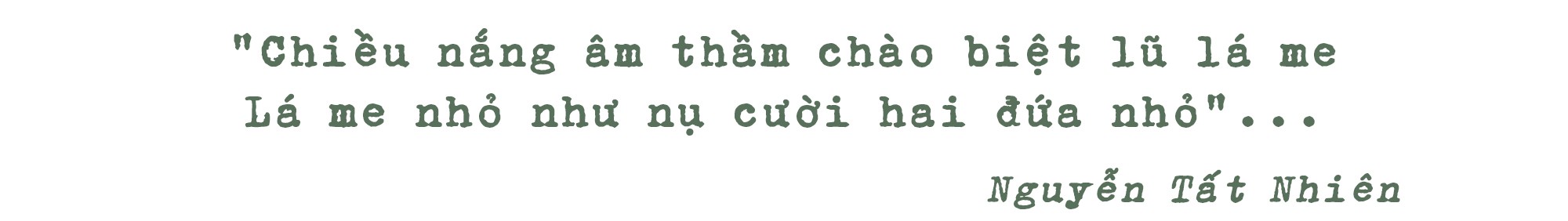 Những hàng me Sài Gòn - Ảnh 8.
