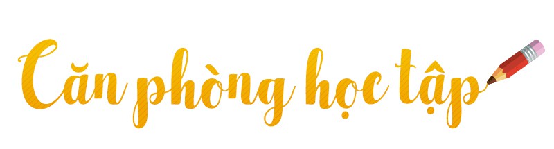 Có một căn phòng mang tên ‘niềm vui’ - Ảnh 6.