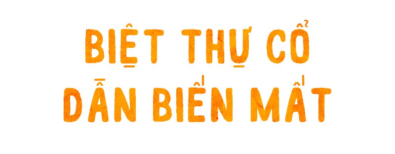 Giải cứu biệt thự cổ Sài Gòn - Ảnh 1.