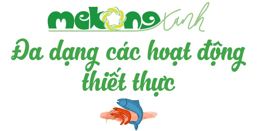 MeKong Xanh - Cùng xây cuộc sống xanh - Ảnh 1.