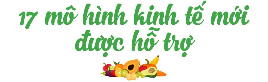 MeKong Xanh - Cùng xây cuộc sống xanh - Ảnh 8.