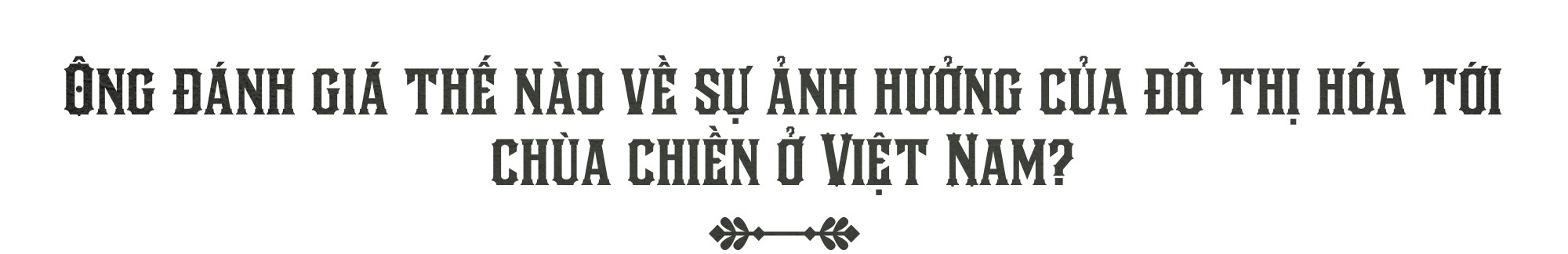 Văn hóa Việt và chùa chiền hấp dẫn tôi một cách tự nhiên - Ảnh 19.