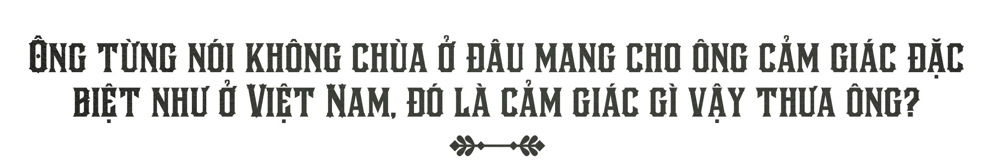 Văn hóa Việt và chùa chiền hấp dẫn tôi một cách tự nhiên - Ảnh 2.