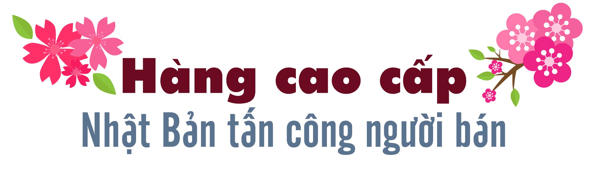 Hàng Nhật kích hoạt vào thị trường Việt Nam - Ảnh 4.