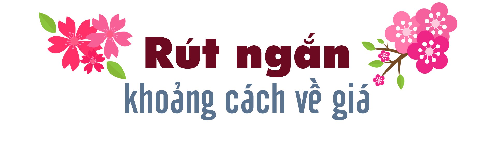 Hàng Nhật kích hoạt vào thị trường Việt Nam - Ảnh 6.