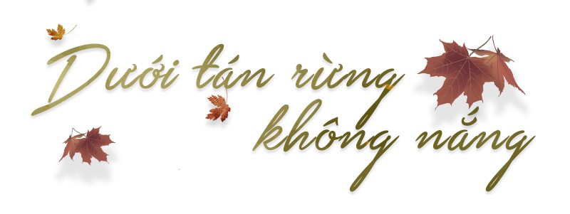Ngược đỉnh Voi Mẹp, nóc nhà vùng đất lửa Quảng Trị - Ảnh 1.