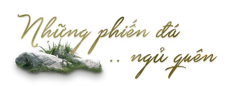 Ngược đỉnh Voi Mẹp, nóc nhà vùng đất lửa Quảng Trị - Ảnh 9.